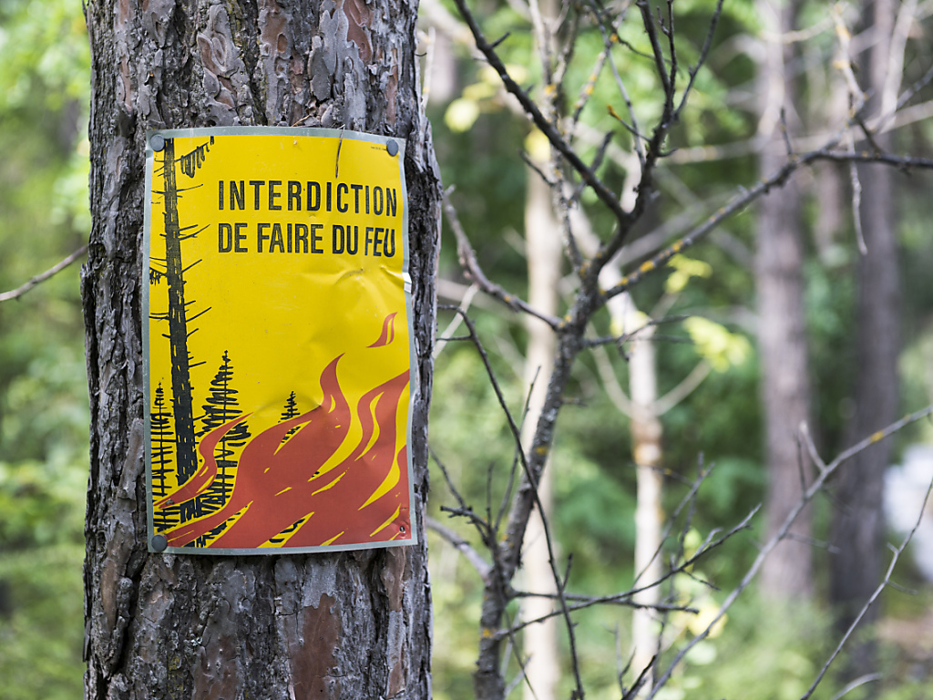 Panneau Tous feux interdits - Feux de plein air interdits - Nature